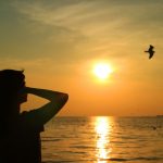 flying-bird_76000-166