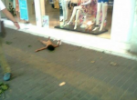 CHINA-_Four_year_old_girl_begging_in_Nanjing_Lu