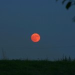 luna_rossa_preview