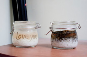 rice-experiment