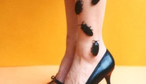 scarafaggi-sulle-gambe