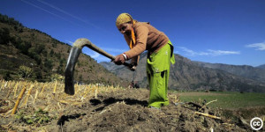 NEPAL_(f)_1204_-_Contadino