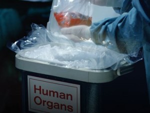organtrafficking