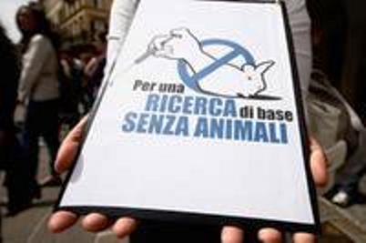 Italia-per-una-ricerca-di-base-senza-animali-la-strada-e-ancora-lunga_medium