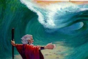 P-MOSES_CALLS_TUNNEL-300x203