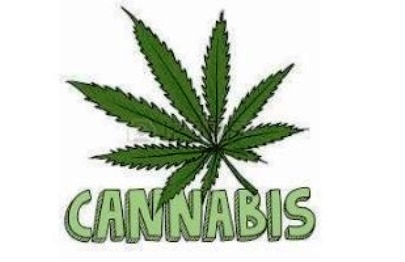 img-_innerArt-_cannabis_2