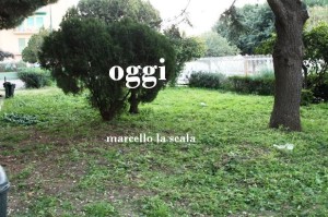 oggi3