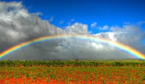 arcobaleno-pieno