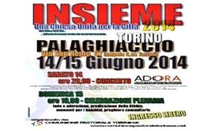 INSIEME2014TORINOrettangolare