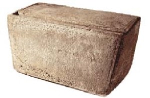 fratello di Gesù