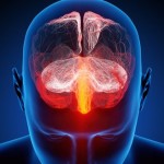 Human brain illustrated with millions of small nerves