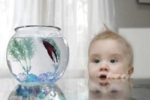 bimbo-gatto-e-pesce