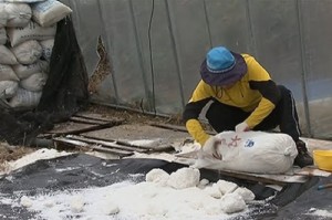 COREA_-_Schiavi_nel_sale