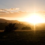 Dawn_-_swifts_creek
