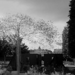Perrot1_Aerial-Garden_Champagne-Laurent-Perrier02