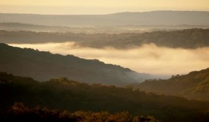 626628288-jefferson-county-pennsylvania-chioma-dell'albero-orizzonte-di-terra-valle