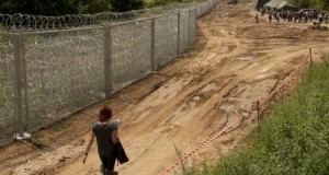 muro_6