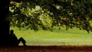 man-under-tree-300x199