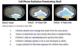 cell-phone-radiation