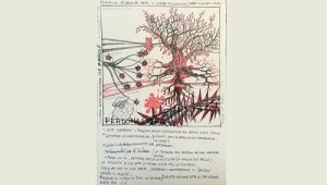 image (14)