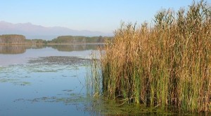 Canneto_sul_Lago_di_Candia