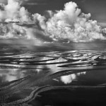 Salgado4
