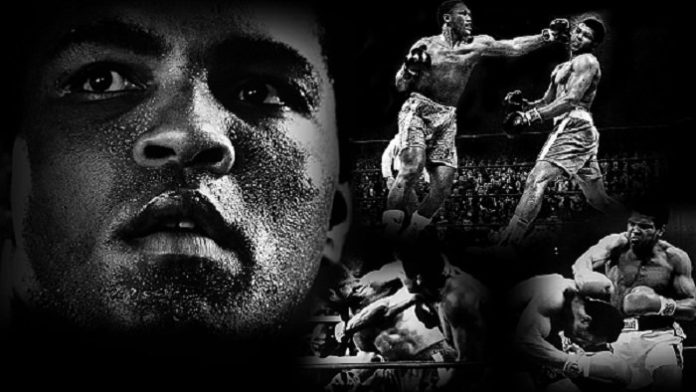 muhammad-ali-wallpaper-1920-x-1080-by-angelus23-d60bano.600x420.27534