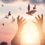 donna-che-prega-e-uccello-libero-che-gode-della-natura-sul-fondo-di-tramonto-concetto-di-speranza_34200-256