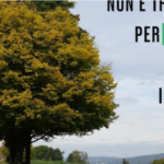 Senza titolo