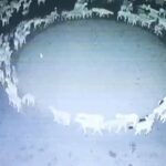 un-segno-dellapocalisse-il-misterioso-movimento-che-nessuno-sa-spiegare-lalucedimaria.it-20221121_1
