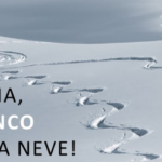 Senza titolo
