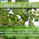 fico-2