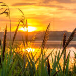 sunrise-g398f4b974_1280