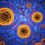 22239_n_cells-1872666_640