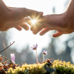 hands