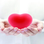 cuore_nuovo