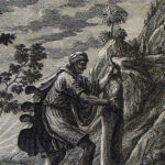 betel-1