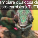 Senza titolo