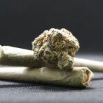 23419_n_canabis-marijuana-bumps-8054140_640