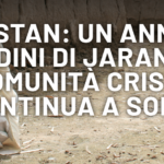 Immagine 2024-07-24 110330